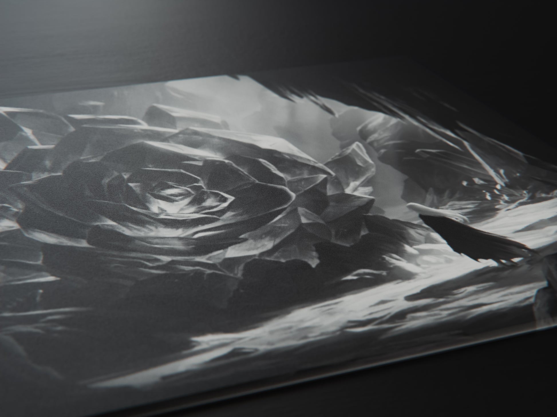 black-white